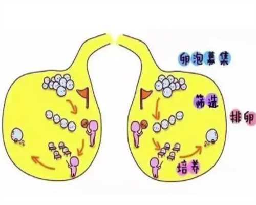 卵巢囊肿多严重会尿频卵巢囊肿会尿频吗~试管代生助孕抱娃