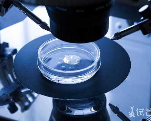 子宫内膜厚度太薄会怎么样_子宫内膜厚太薄